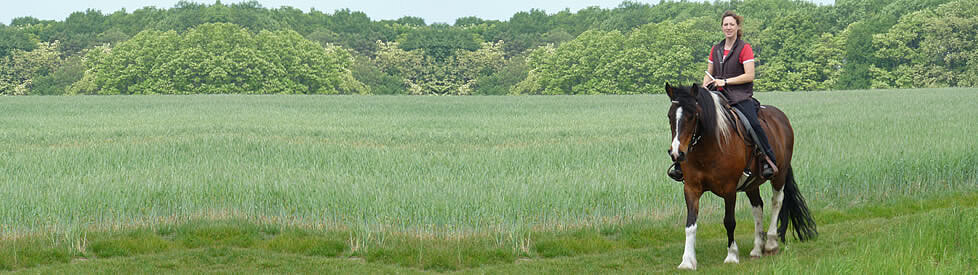 Verhaltensberatung trifft Mentaltraining